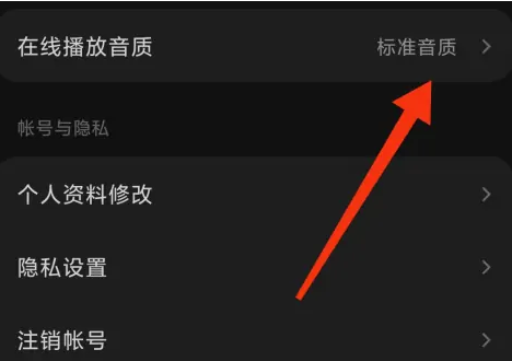 汽水音乐怎么设置音质？汽水音乐设置音质的方法截图