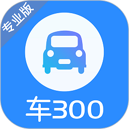 车300专业版官方