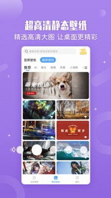 小鸟壁纸app安卓版下载最新版-小鸟壁纸app免费版下载安卓手机版v2.1.7 最新版 运行截图3