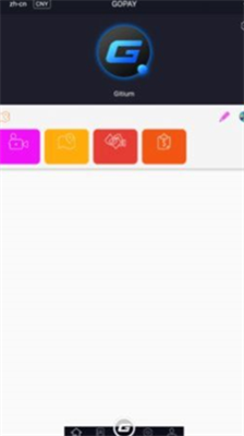 gopay支付平台下载官网-gopay支付平台下载苹果v2.6.5 运行截图2