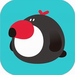 犀鸟好前途app v5.8.3 最新版