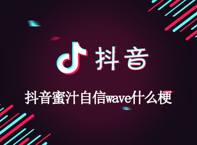 抖音蜜汁自信wave什么梗