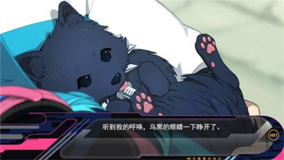 dmmd破解版中文版下载-dmmd破解版汉化版下载v1.0 中文版 运行截图2