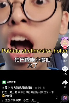 抖音shoe swoller什么意思