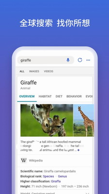 必应搜索app下载官网安卓版-必应搜索手机版下载官方免费版v27.4.411030326 最新版 运行截图2