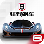 狂野飙车9免谷歌v4.1.0r 内购破解版