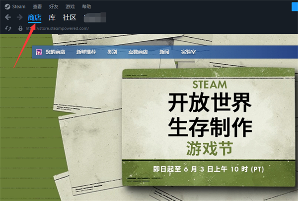 steam怎么设置商店偏好