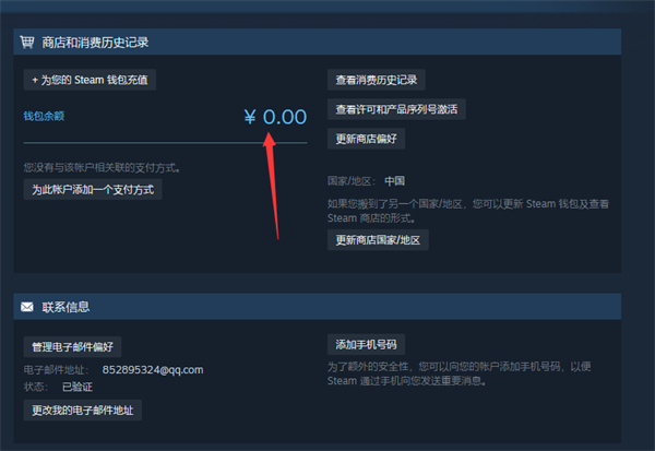 steam账户明细在哪看