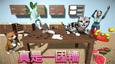 猫咪模拟器破解版无限金币下载-猫咪模拟器无限金币版中文版下载v5.4.2 无限金币版 运行截图2