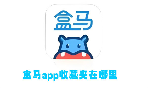 盒马app付款码在哪里