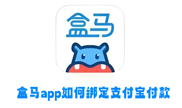 盒马app如何绑定支付宝付款