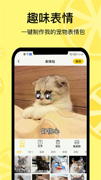 宠日常app下载-宠日常软件下载v24.0.0 安卓版 运行截图4