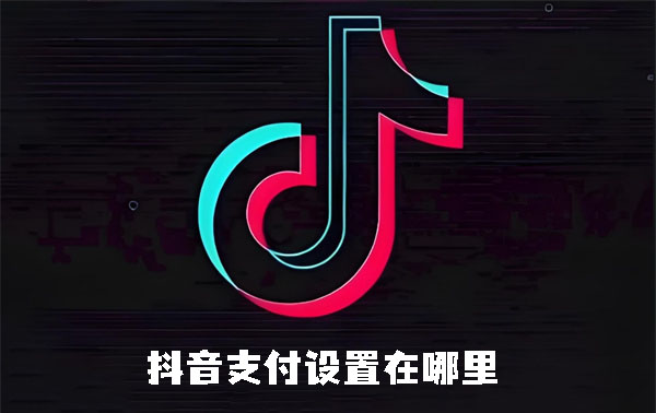 抖音支付设置在哪里