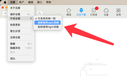 迅雷mac版怎么设置主题风格