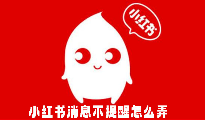 小红书消息不提醒怎么弄