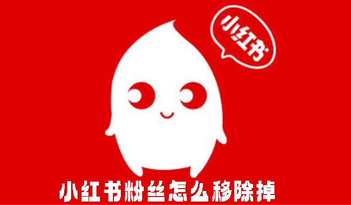 小红书粉丝怎么移除掉